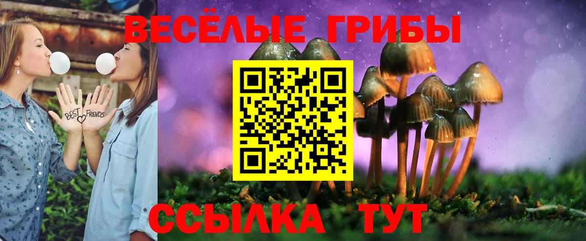 купить наркотики сайты  Вход с VPN  Сочи  Галлюциногенные грибы GOLDEN TEACHER 